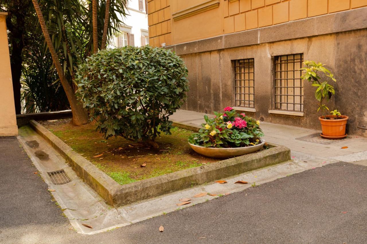 Borghese Magnolia *