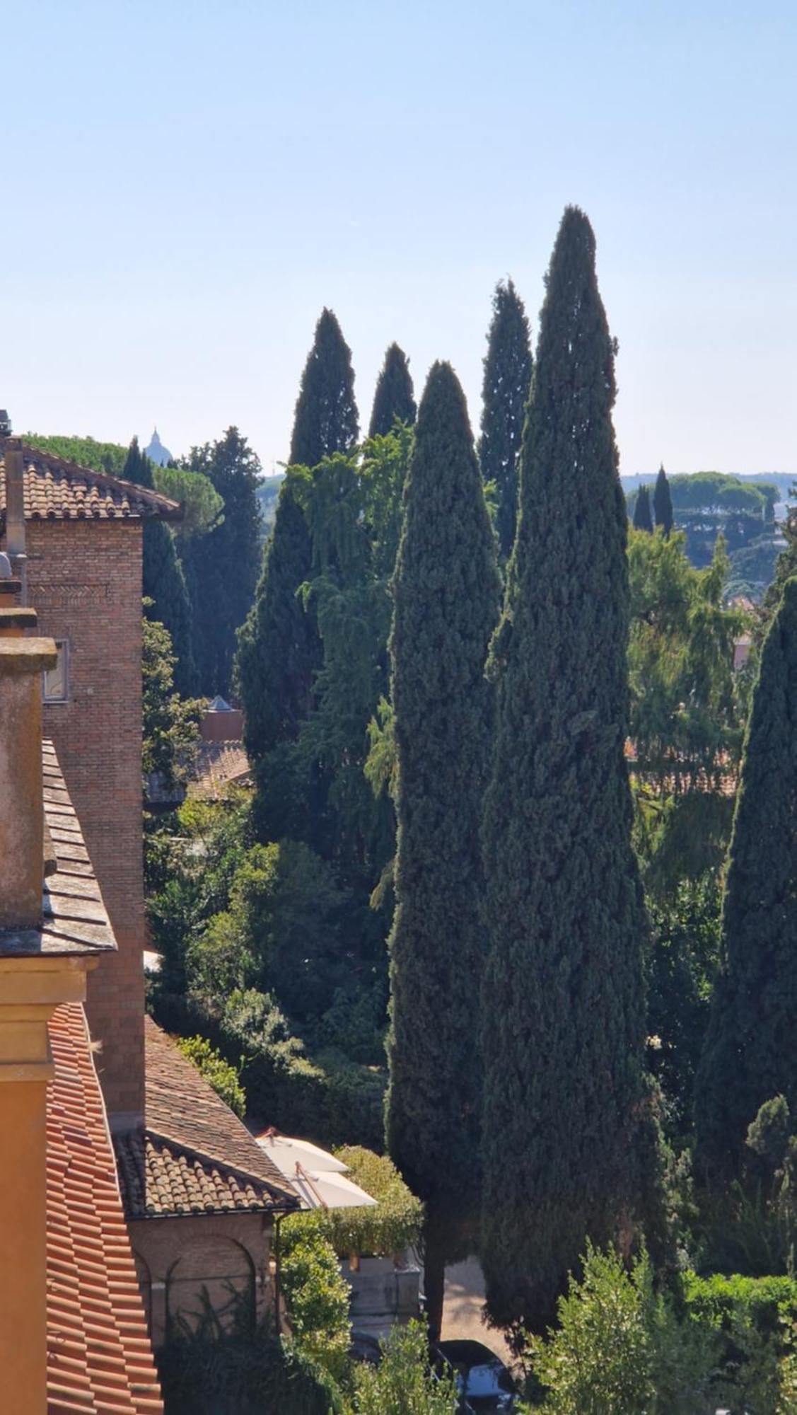 Borghese Magnolia Apartment Rome