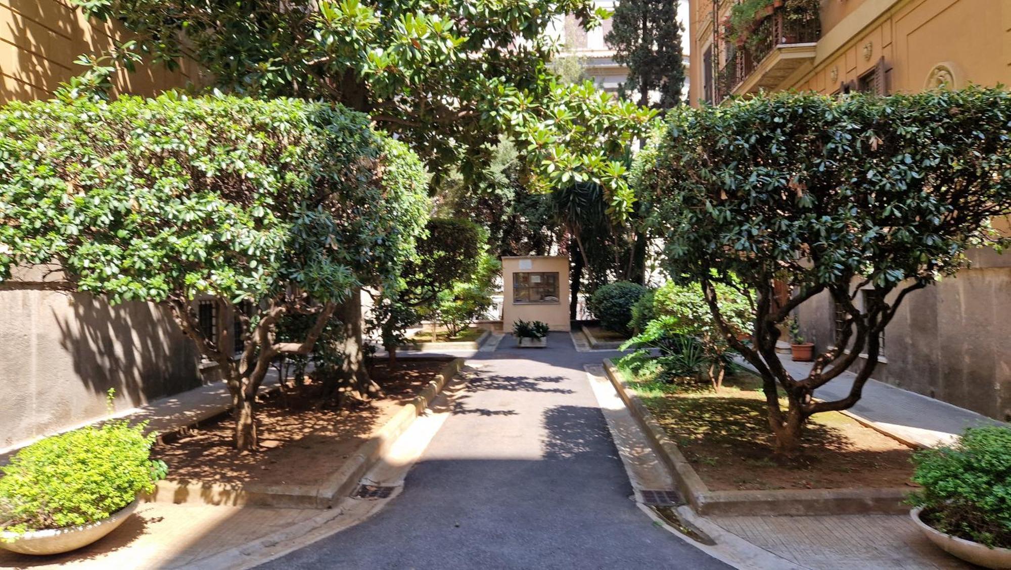 Borghese Magnolia Rome