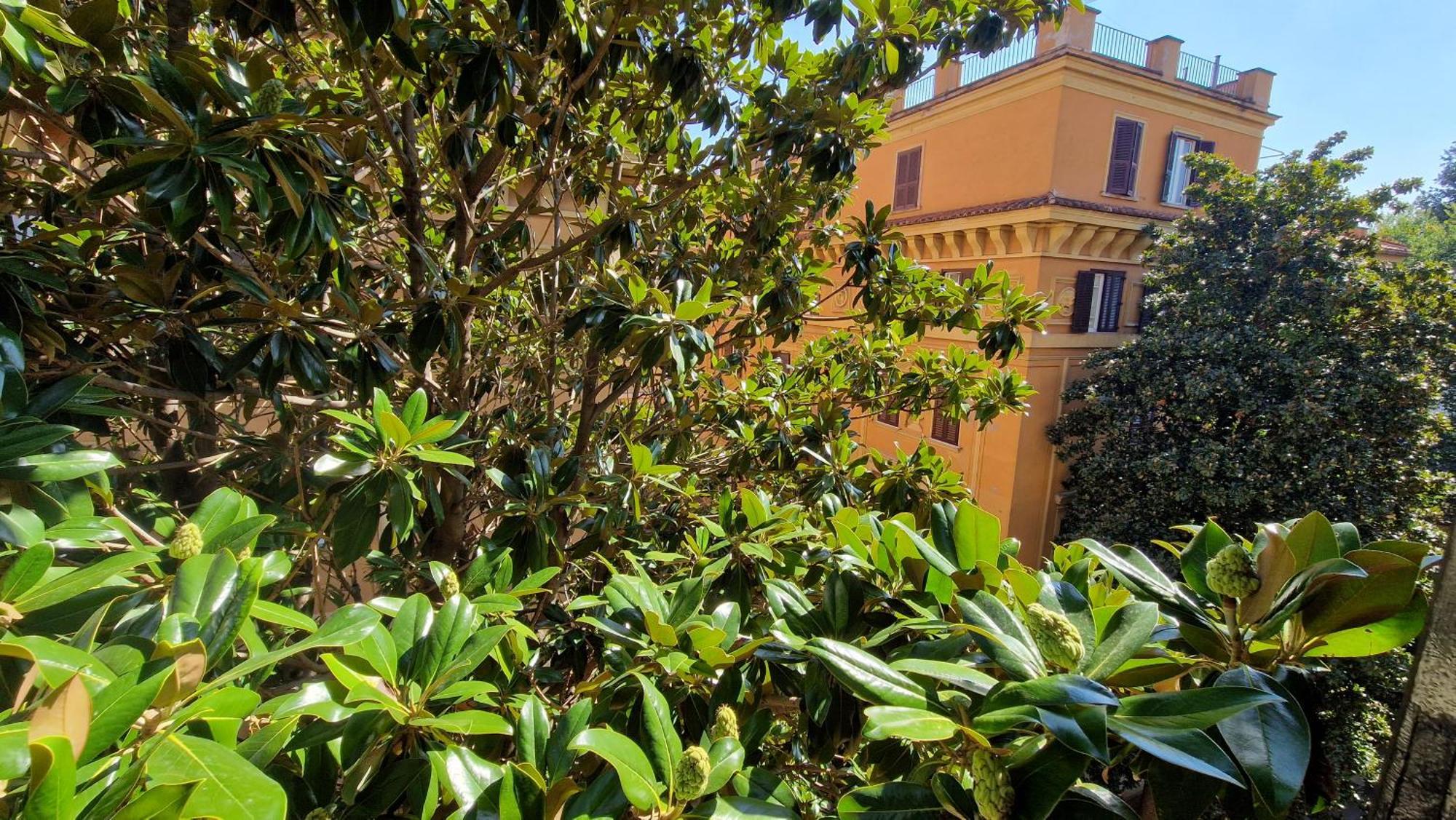Borghese Magnolia Apartment *