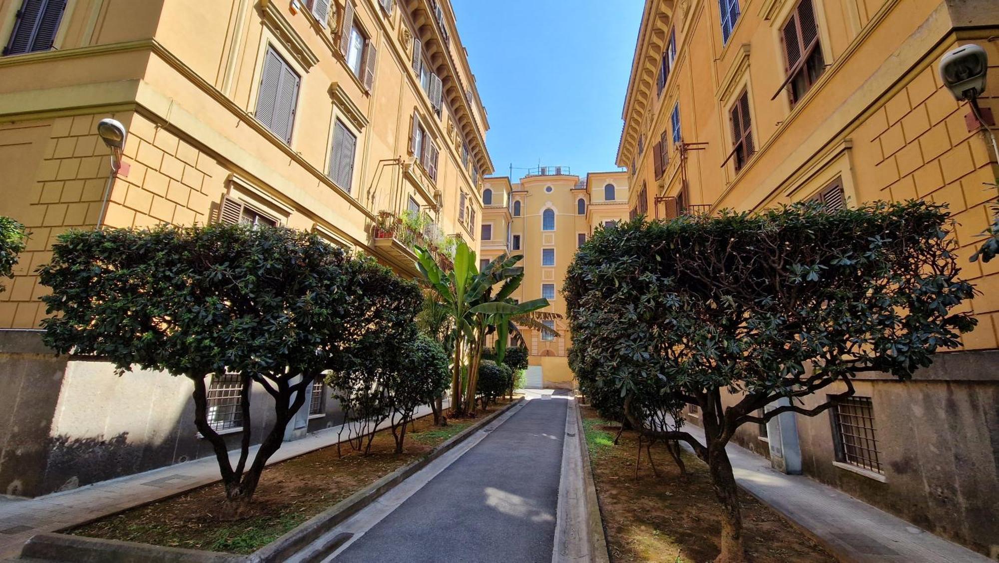 Borghese Magnolia