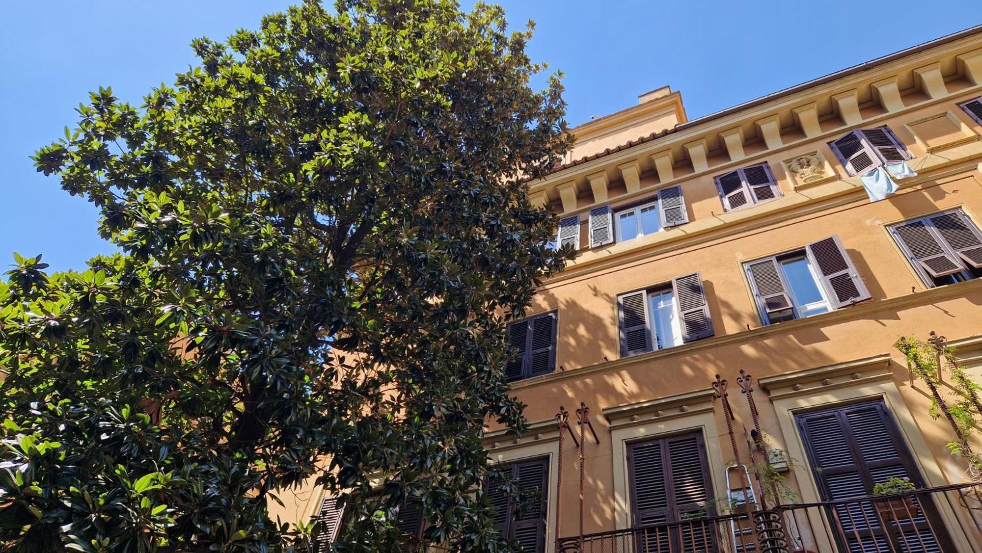Borghese Magnolia Apartment *