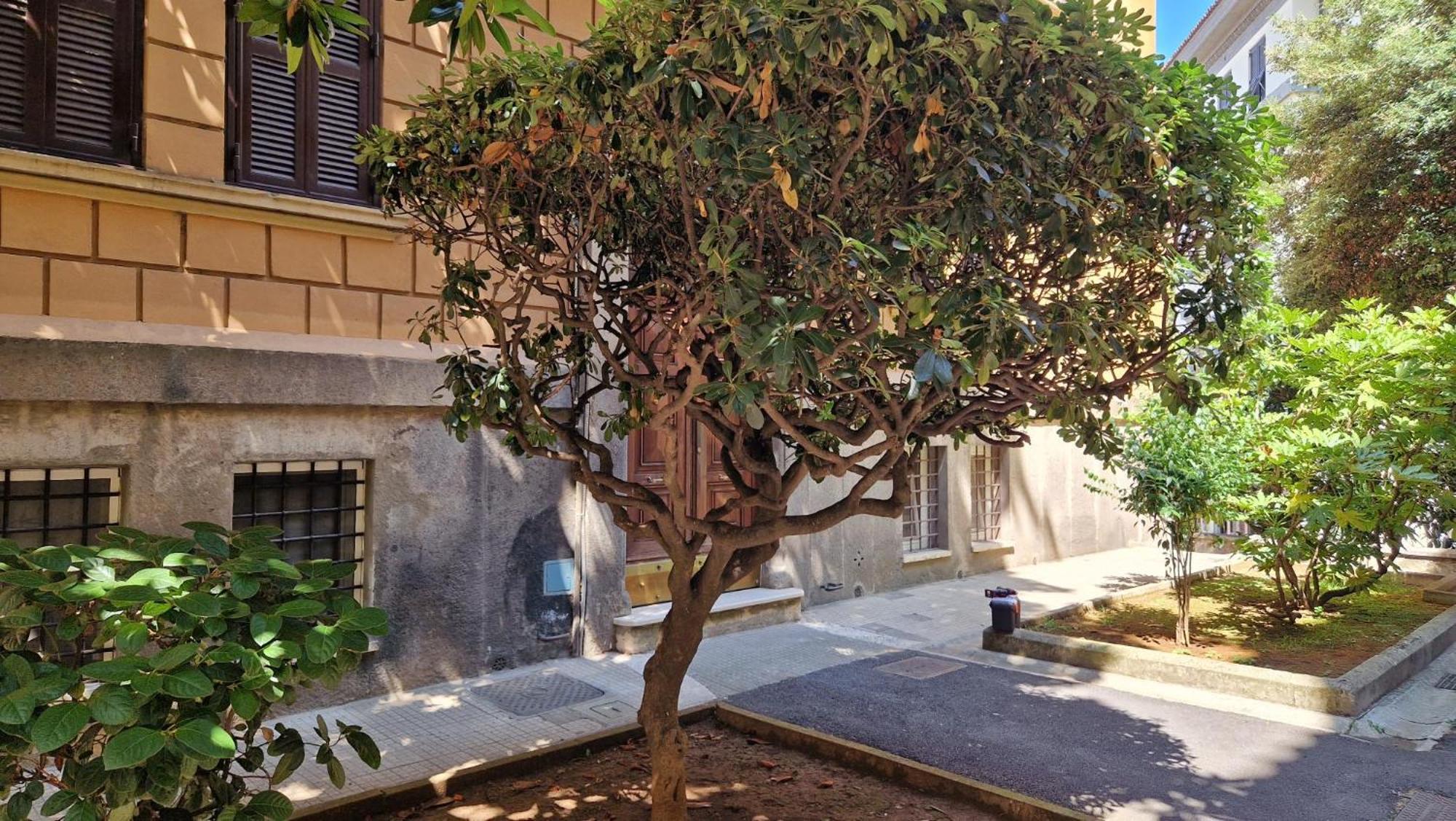 Apartment Borghese Magnolia Rome