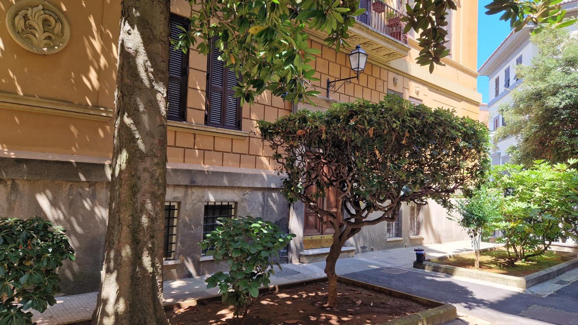 Borghese Magnolia *
